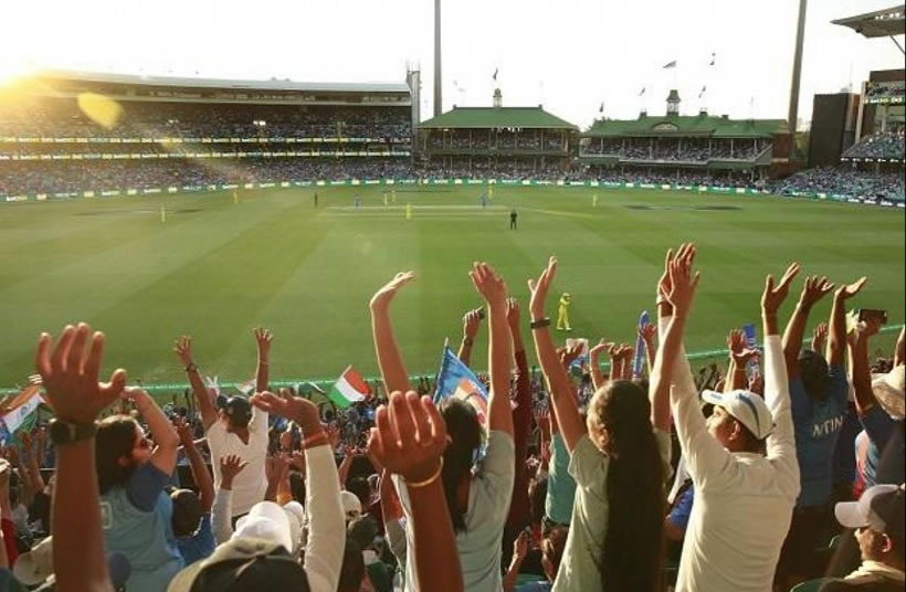 Cricket Crowd
