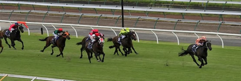 2016 black caviar lightning stakes preview betting tips before