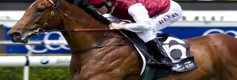 golden slipper tips golden slipper preview tips and promotions before you bet golden slipper tips golden slipper preview tips and promotions before you bet