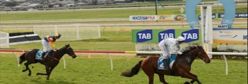 Horse racing gambling sites