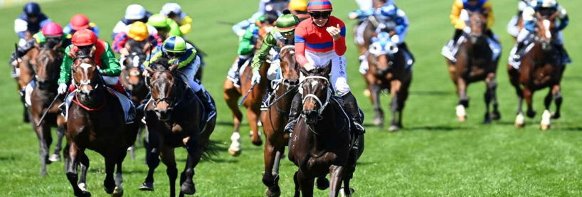 2022 Melbourne Cup Preview & Tips