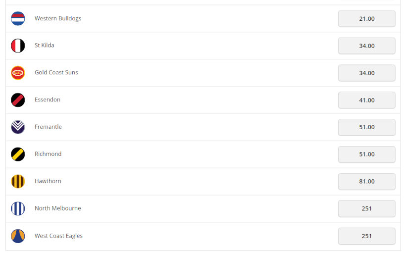 2024 AFL Premiership Odds Before You Bet
