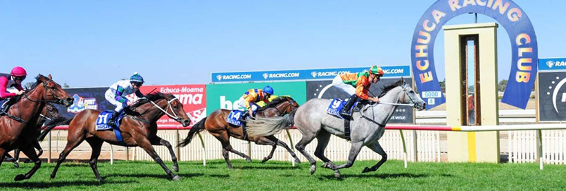 Australian Horse Racing Tips Monday October 12th