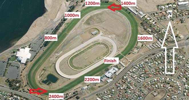 elwick racecourse