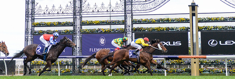 Flemington Racing Tips 2020 Stakes Day