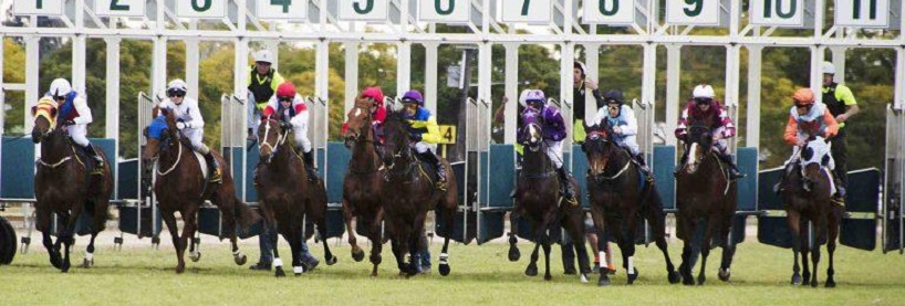 Horse Racing Betting Tips July 7th