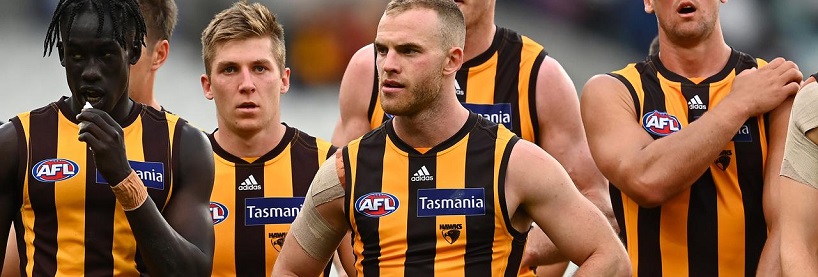 Hawthorn Hawks Team Preview