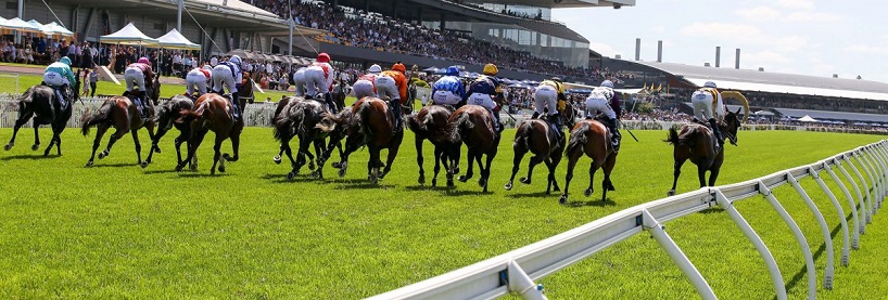 Horse Racing Betting Tips