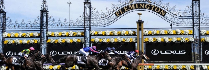 Melbourne Cup Betting Tips
