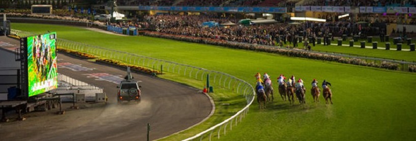 Moonee Valley November 19th Tips