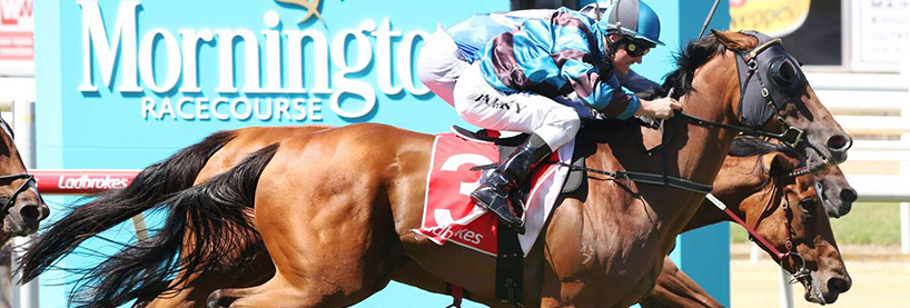 Australian Horse Racing Tips Sunday September 27th