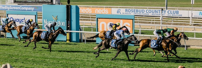 Mornington Racing Tips