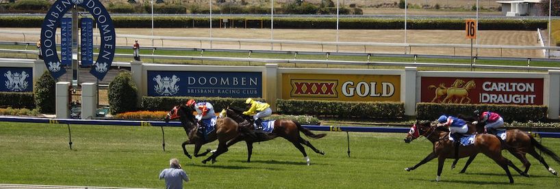 Horse Racing Tips