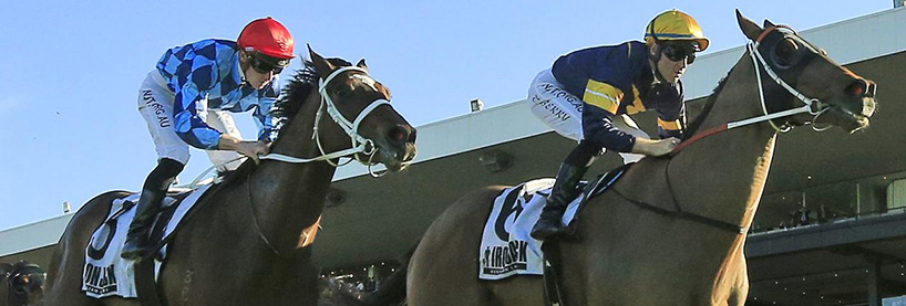 Horse Racing Tips