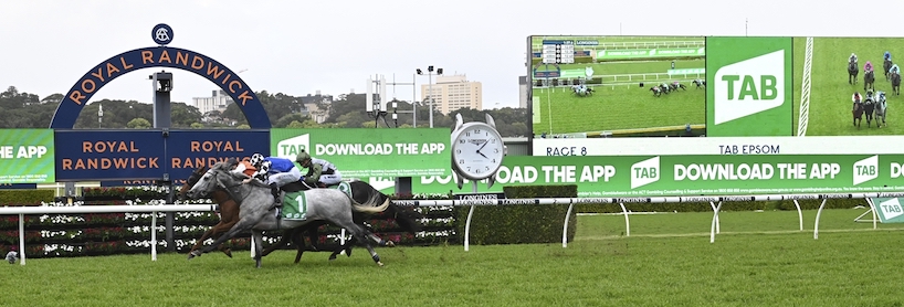 Randwick Racing Tips