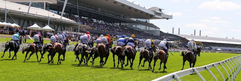 Rosehill Racing Tips