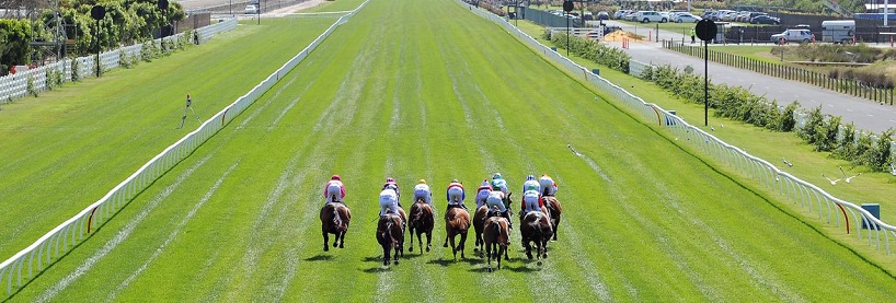 Saturday Racing Betting Tips