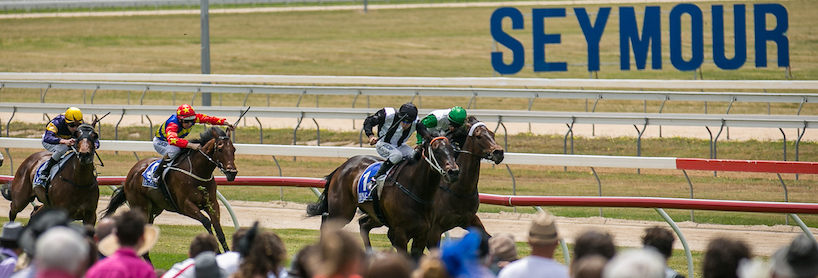 Seymour Racing Tips