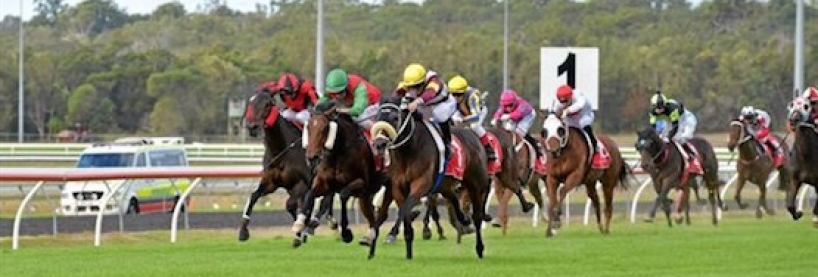 Sunshine Coast Racing Tips