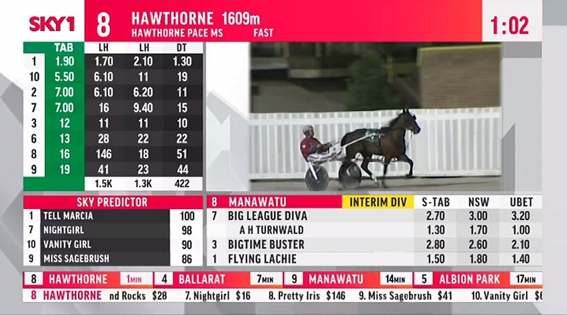 tab gold horse racing results