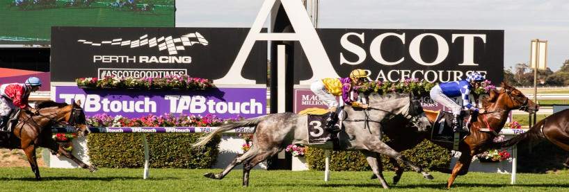 Ascot Racing Tips