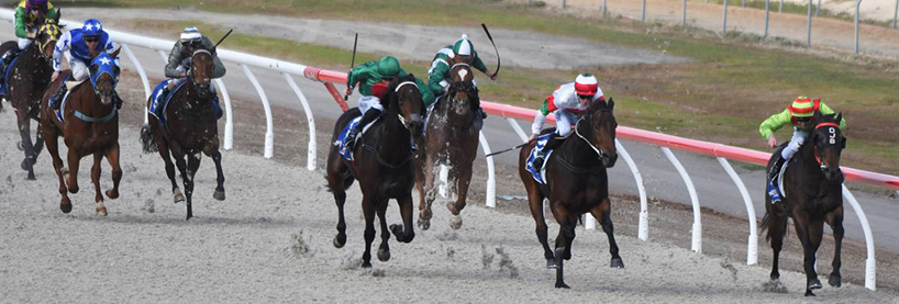 Ballarat Racing Tips