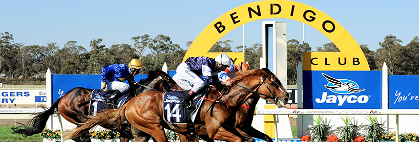 Bendigo Cup