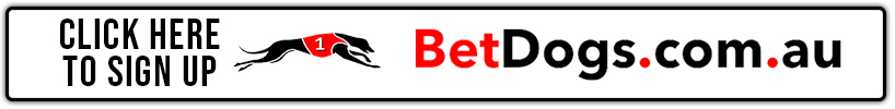 BetDogs