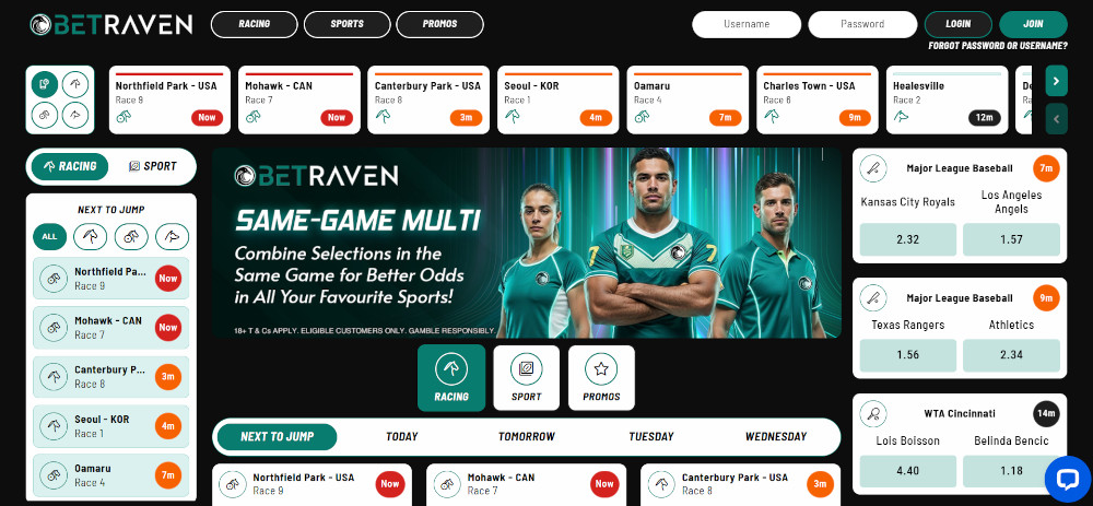 BetRaven website