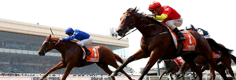 Horse Racing Tips