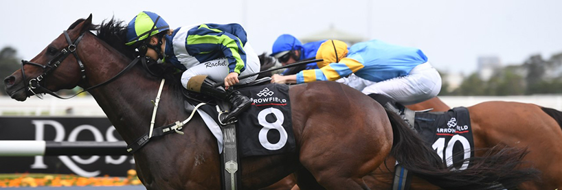 Horse Racing Tips