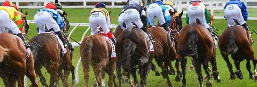 Saturday Racing Betting Tips