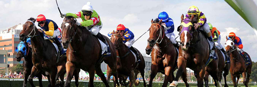 Horse Racing Tips