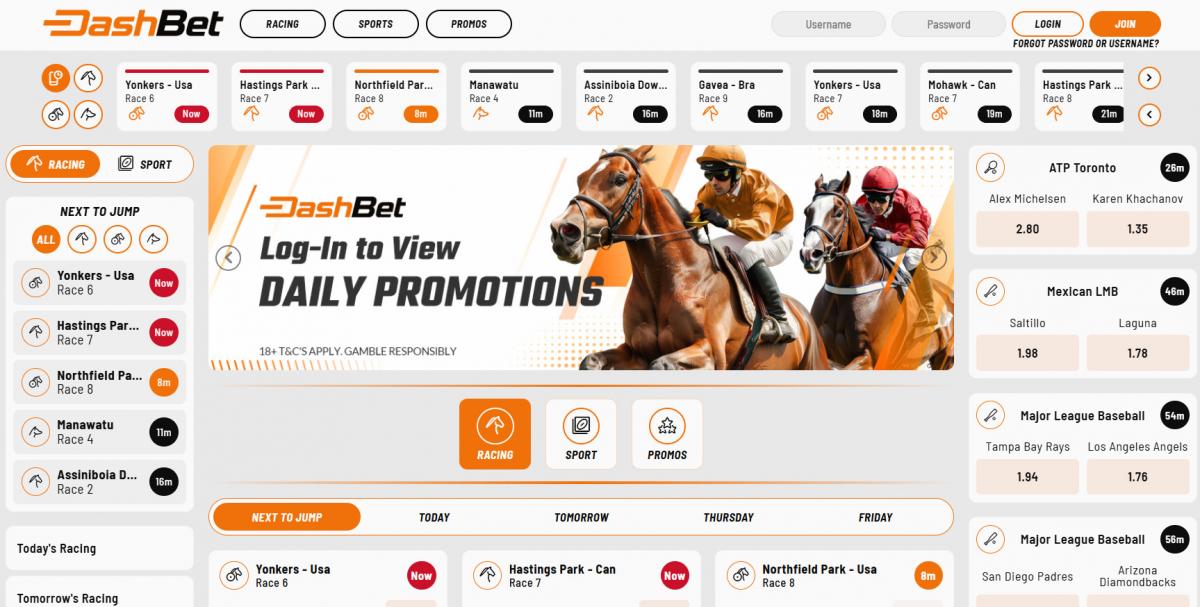 DashBet website