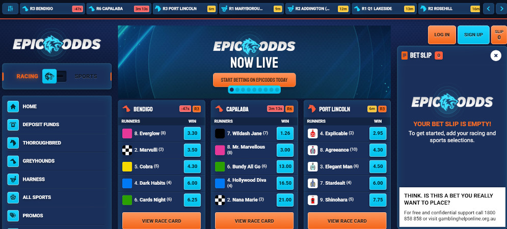 EpicOdds website
