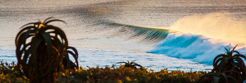 Surfing betting tips