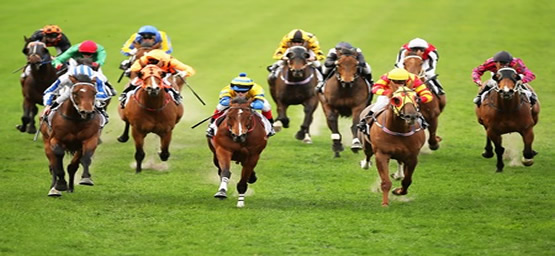 Betting Strategy: Laying the Field 