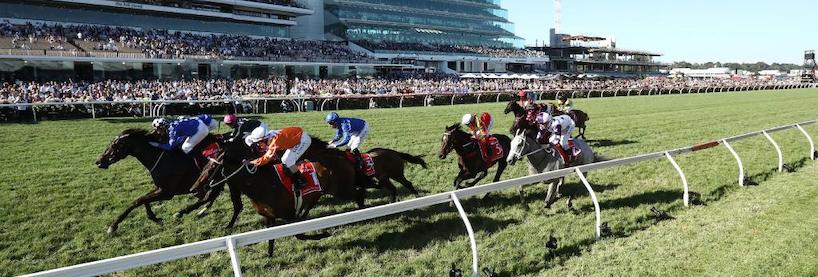 Horse Racing Tips