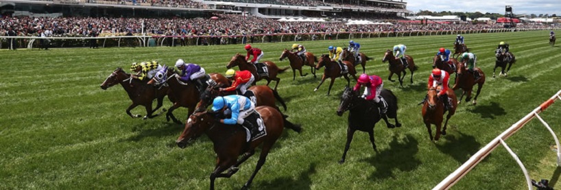 Horse Racing Tips