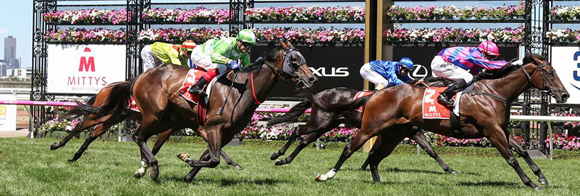 Flemington Racing Tips Wednesday September 23rd