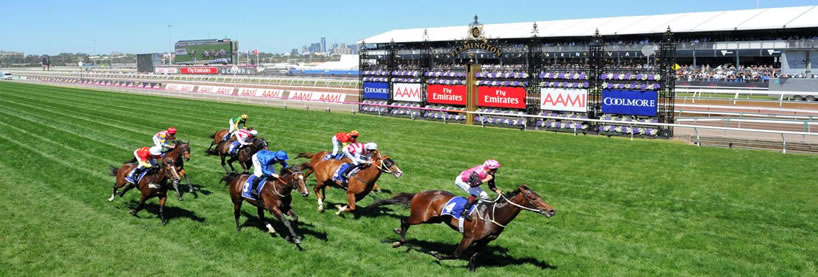 Horse Racing Tips