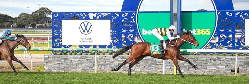 Geelong Cup Racing Tips