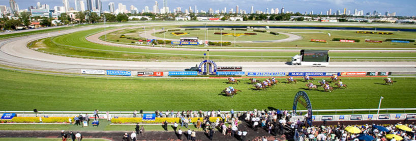 Gold Coast Racing Tips