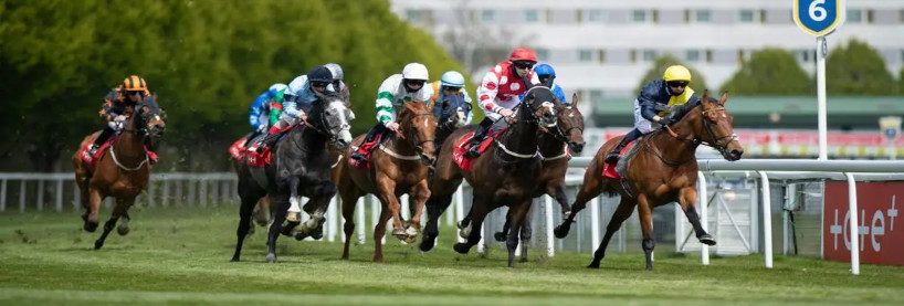 Gold Coast Racing Tips