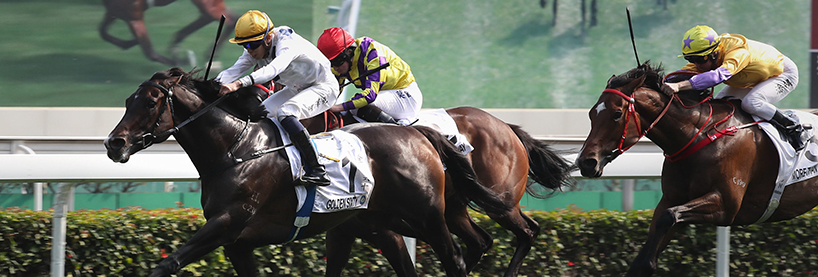 Sha Tin Racing Tips Sunday September 27th