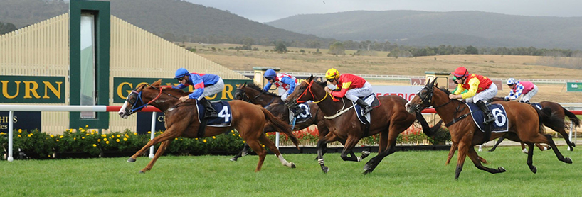 australian horse racing tips monday july 20th