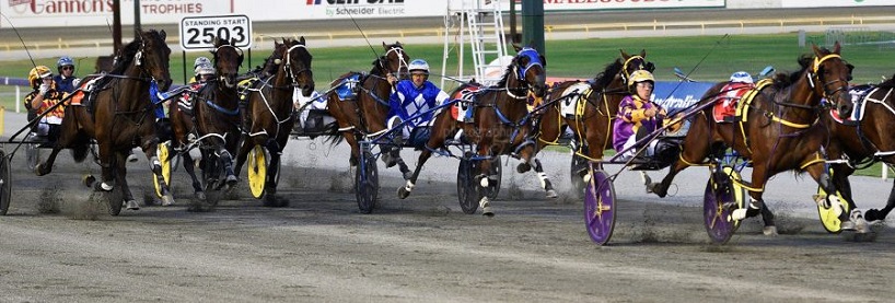 Harness Racing Tips