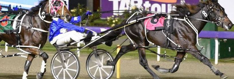 Harness Racing Tips