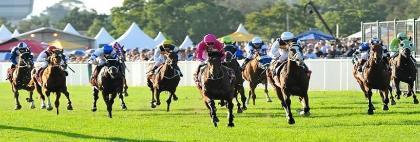 Hawkesbury Ladies Day Cup