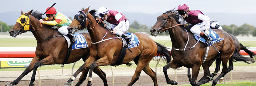 Horse Racing Tips